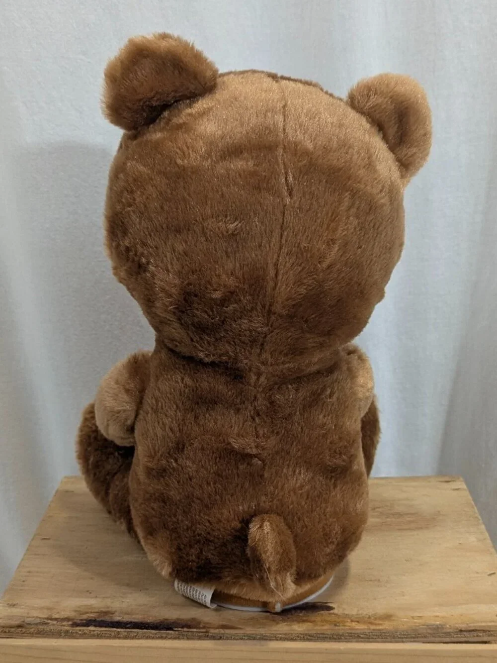 Light-Up Musical Valentine's Day Bear *Please Play Video